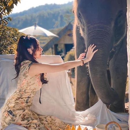 3 Pok Maewang Jinxiang Gold Elephant Park แม่วาง ภายนอก รูปภาพ