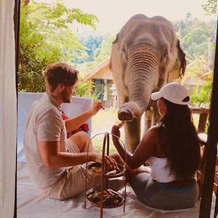 3 Pok Maewang Jinxiang Gold Elephant Park แม่วาง ภายนอก รูปภาพ