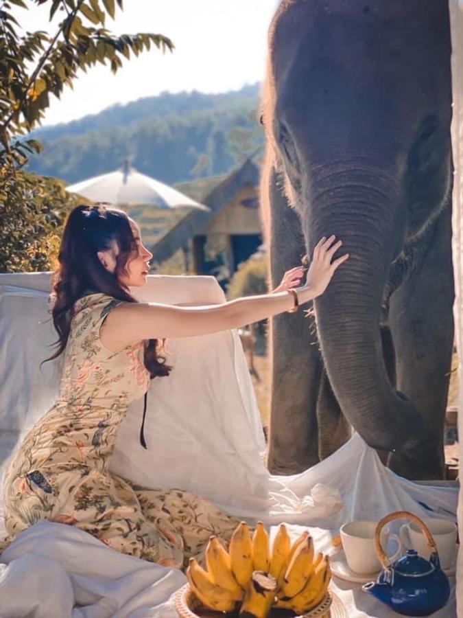 3 Pok Maewang Jinxiang Gold Elephant Park แม่วาง ภายนอก รูปภาพ