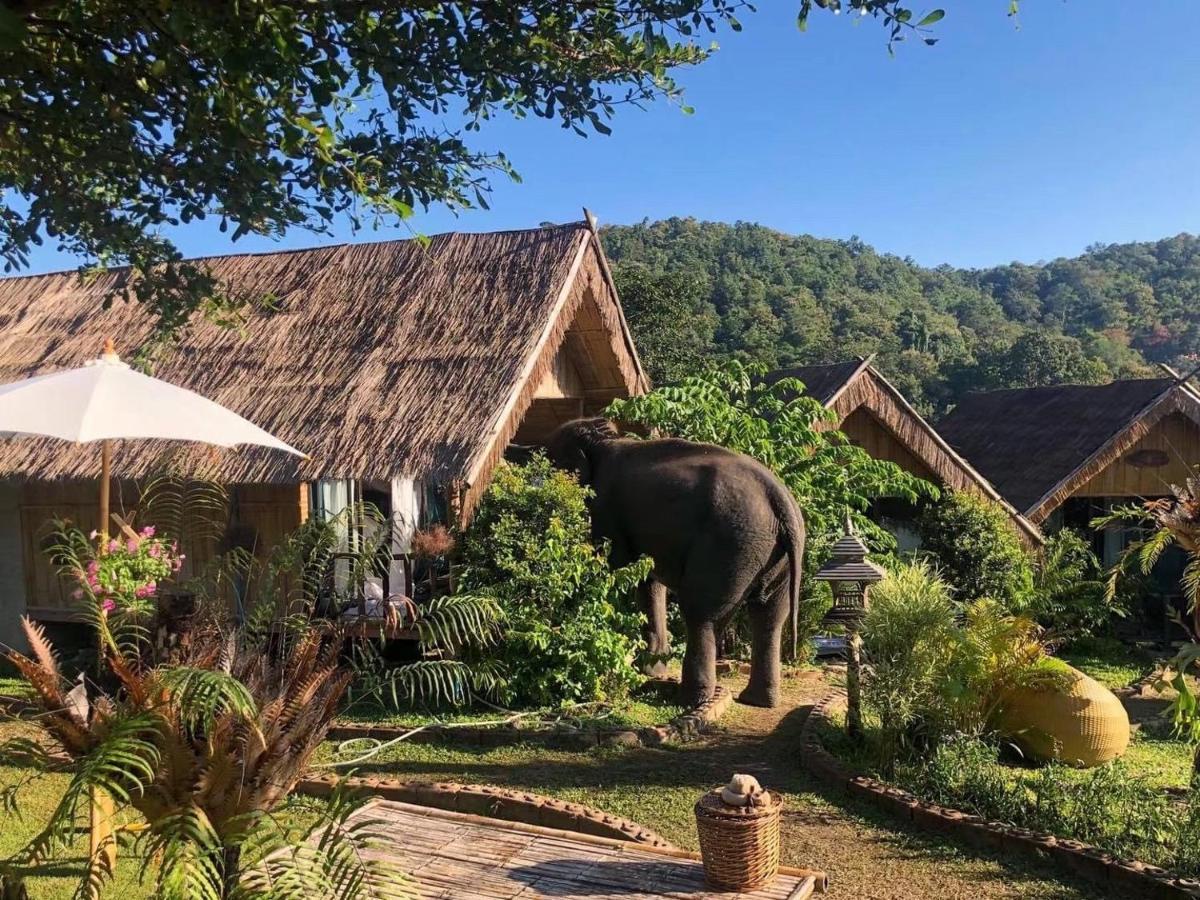 3 Pok Maewang Jinxiang Gold Elephant Park แม่วาง ภายนอก รูปภาพ