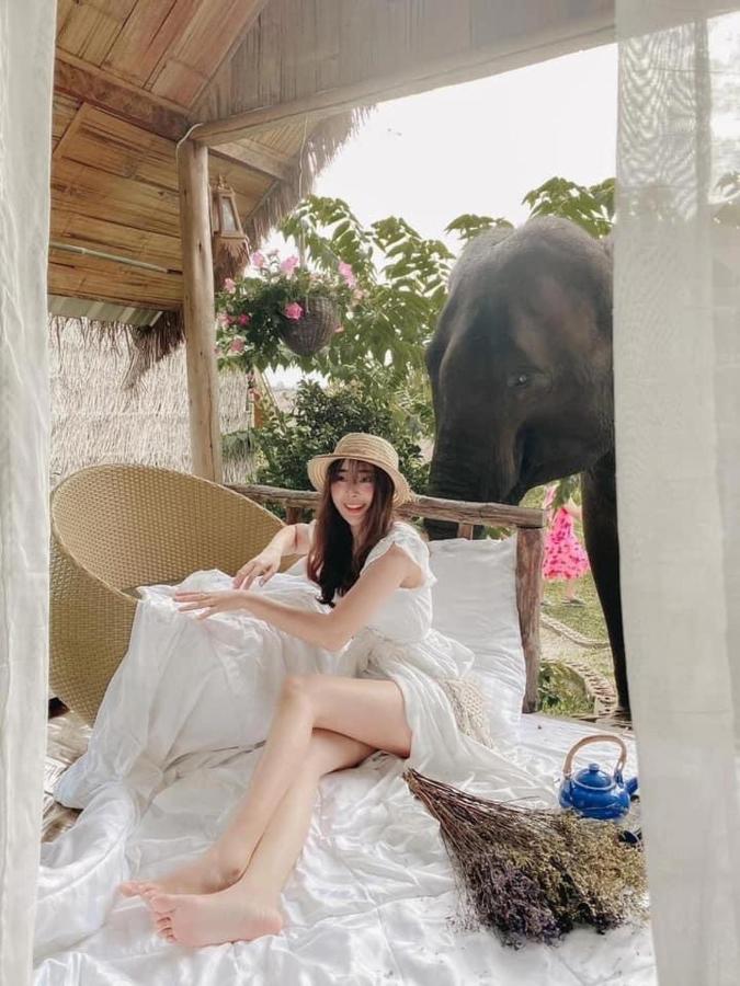 3 Pok Maewang Jinxiang Gold Elephant Park แม่วาง ภายนอก รูปภาพ