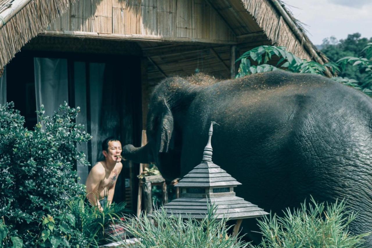 3 Pok Maewang Jinxiang Gold Elephant Park แม่วาง ภายนอก รูปภาพ
