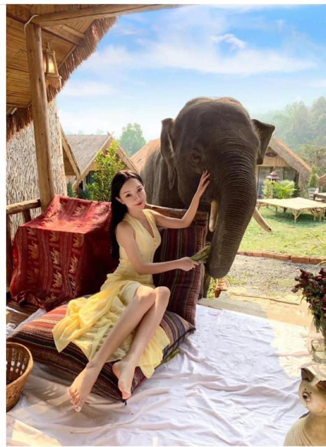 3 Pok Maewang Jinxiang Gold Elephant Park แม่วาง ภายนอก รูปภาพ
