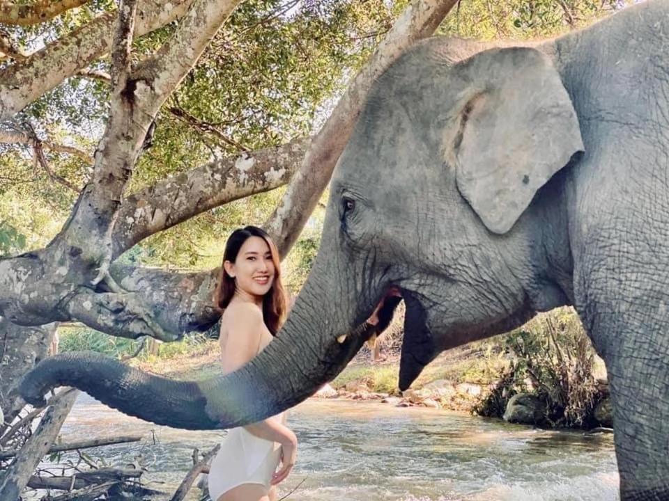 3 Pok Maewang Jinxiang Gold Elephant Park แม่วาง ภายนอก รูปภาพ