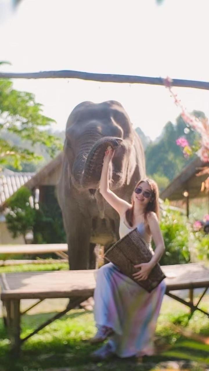 3 Pok Maewang Jinxiang Gold Elephant Park แม่วาง ภายนอก รูปภาพ
