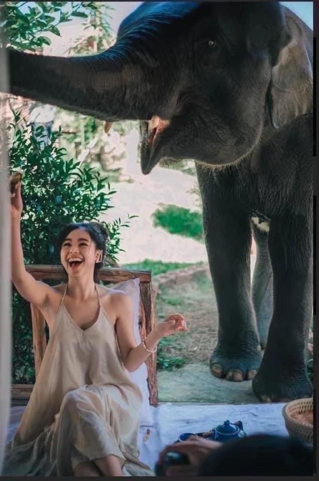 3 Pok Maewang Jinxiang Gold Elephant Park แม่วาง ภายนอก รูปภาพ