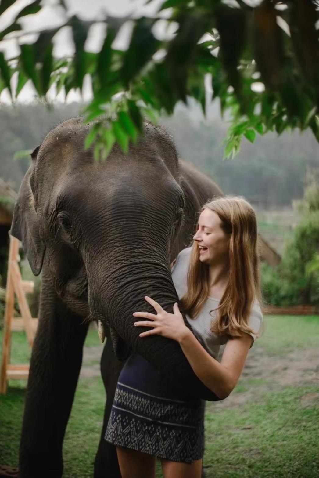 3 Pok Maewang Jinxiang Gold Elephant Park แม่วาง ภายนอก รูปภาพ