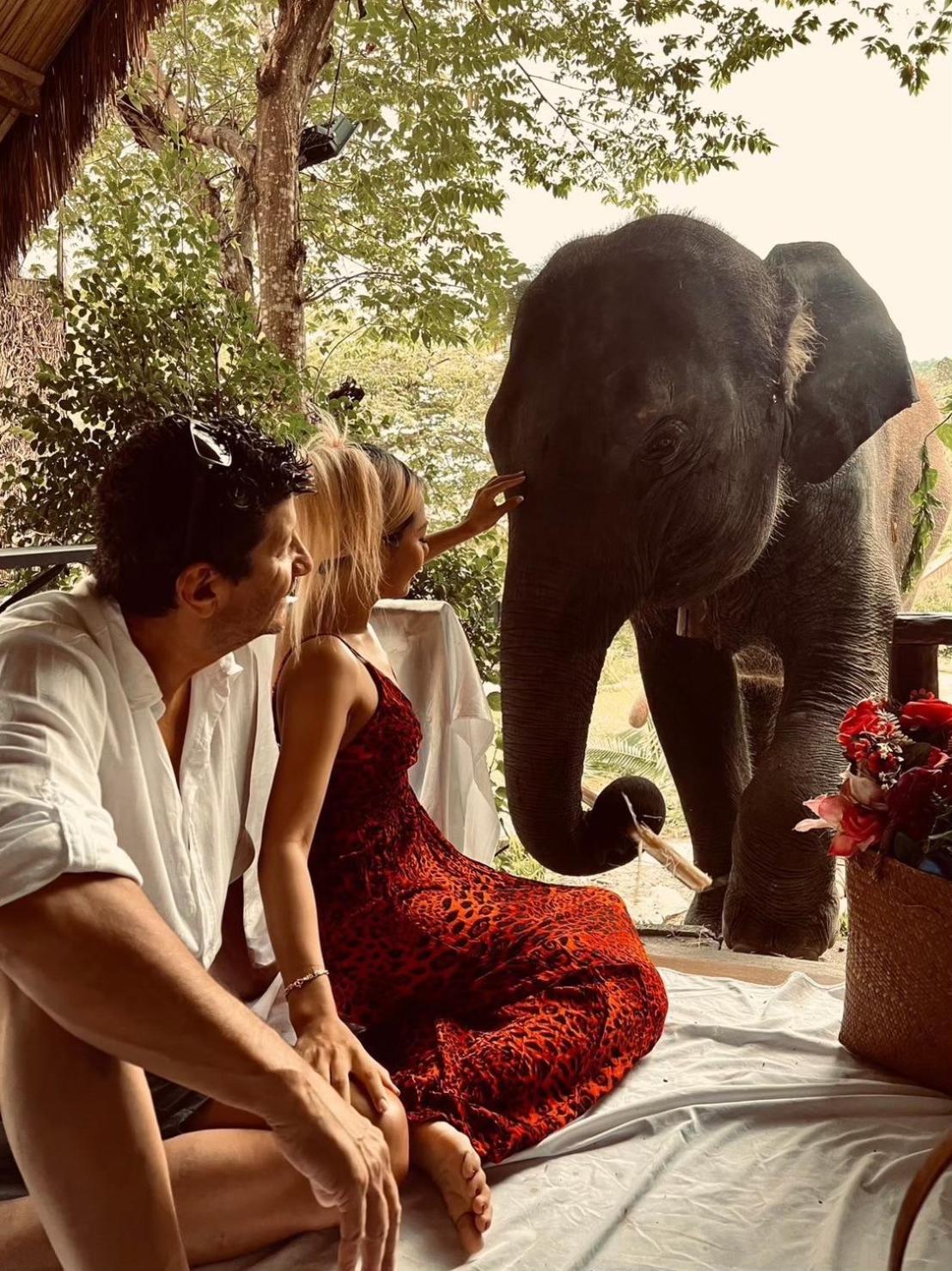3 Pok Maewang Jinxiang Gold Elephant Park แม่วาง ภายนอก รูปภาพ