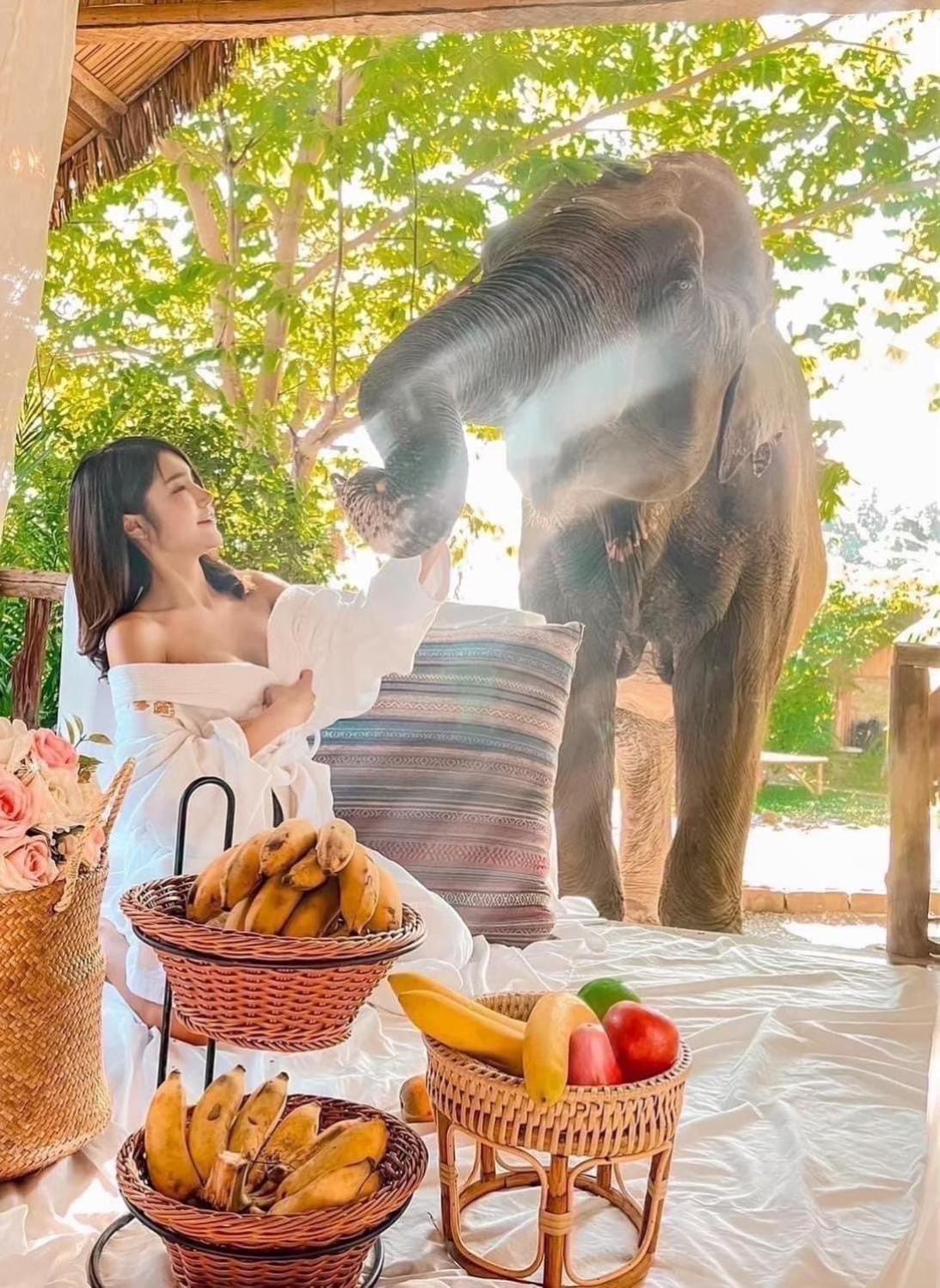 3 Pok Maewang Jinxiang Gold Elephant Park แม่วาง ภายนอก รูปภาพ