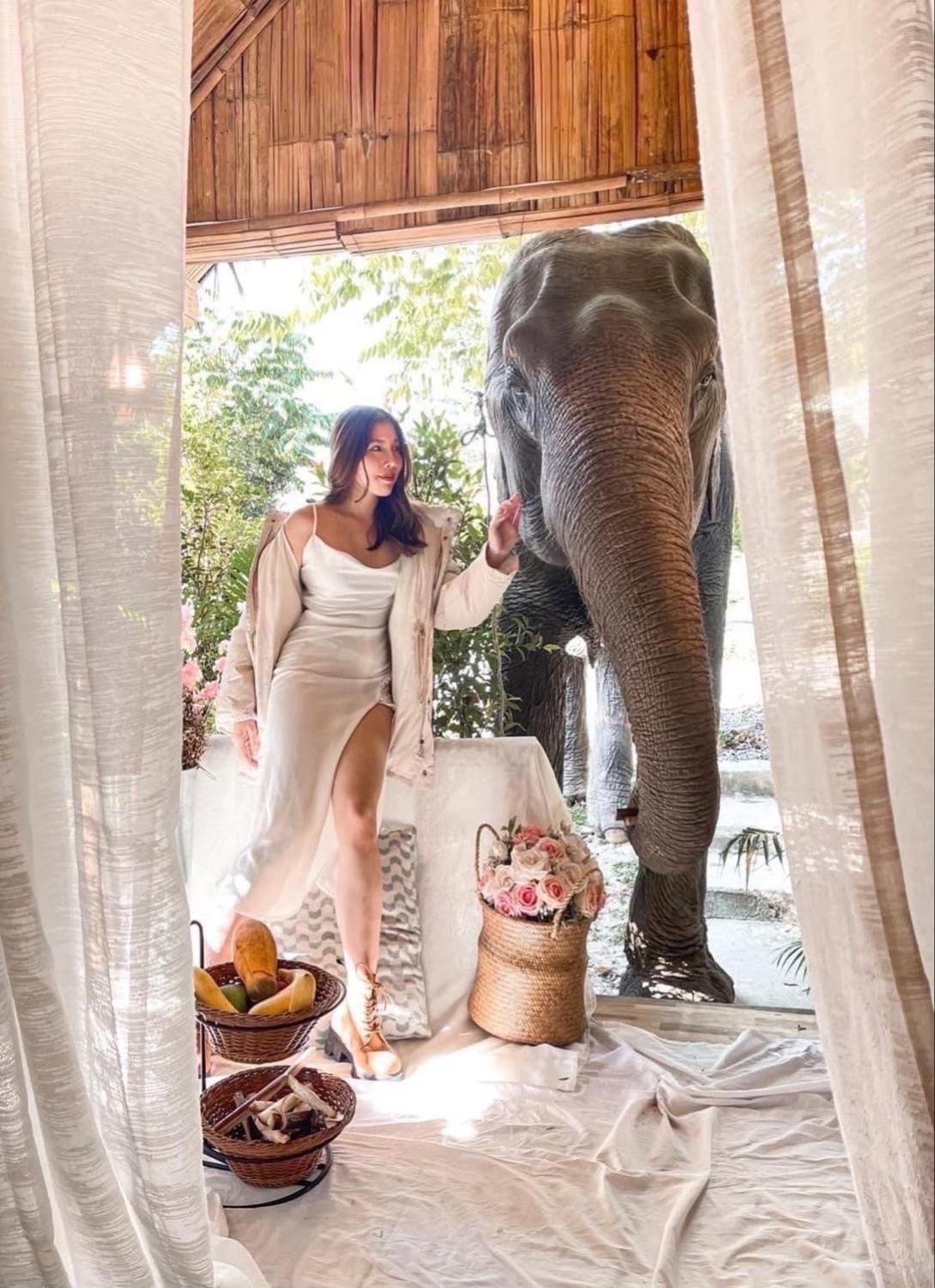 3 Pok Maewang Jinxiang Gold Elephant Park แม่วาง ภายนอก รูปภาพ