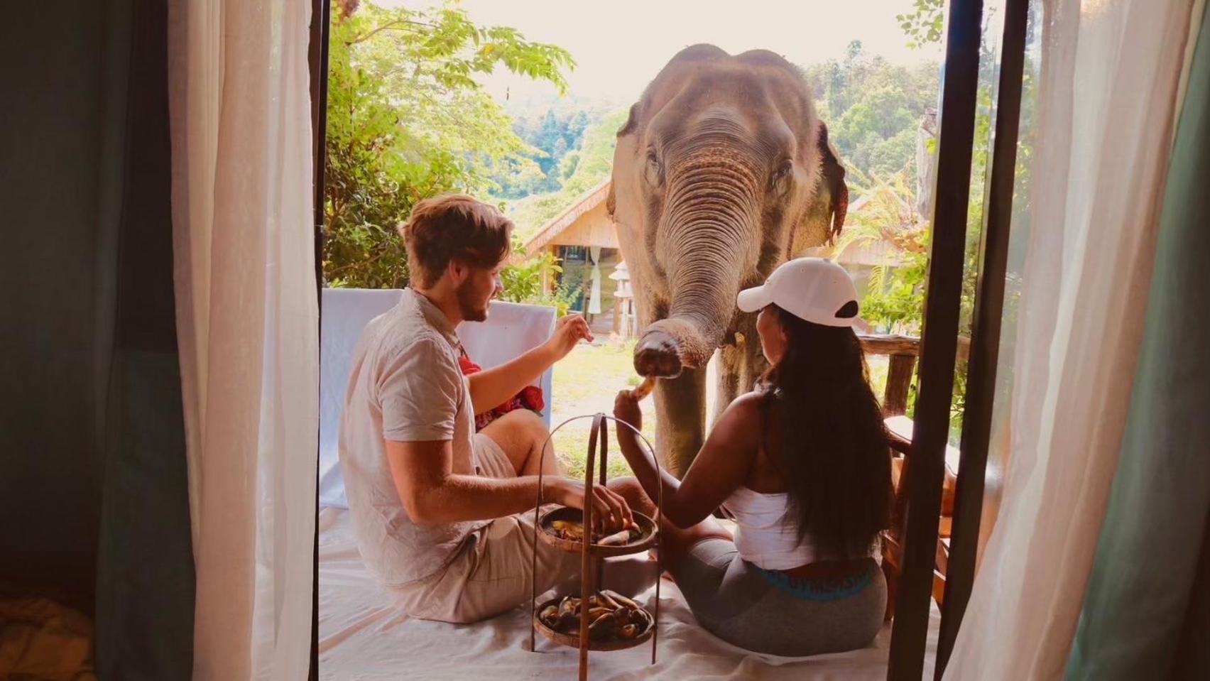 3 Pok Maewang Jinxiang Gold Elephant Park แม่วาง ภายนอก รูปภาพ