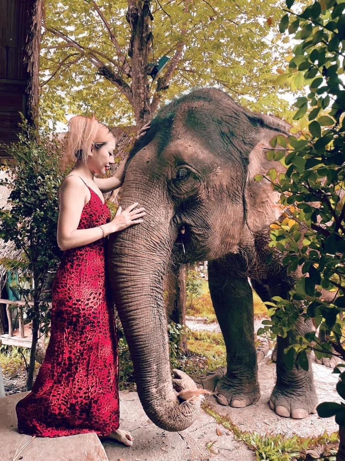 3 Pok Maewang Jinxiang Gold Elephant Park แม่วาง ภายนอก รูปภาพ