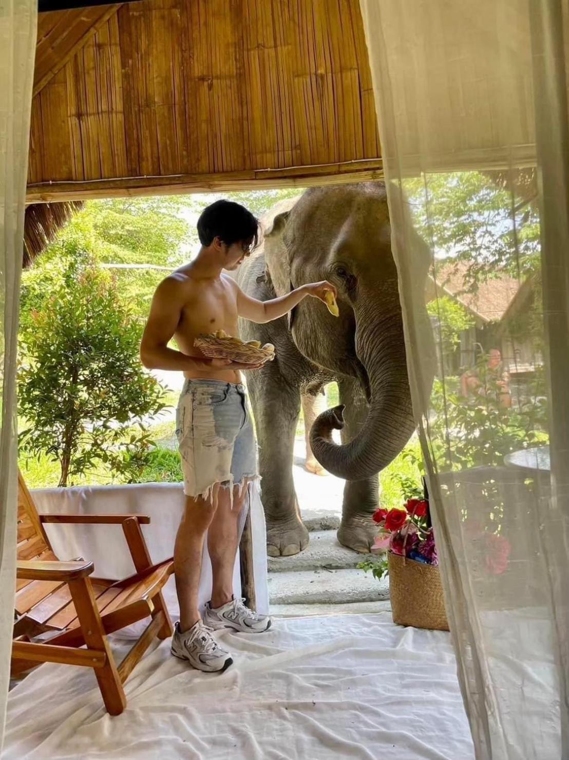 3 Pok Maewang Jinxiang Gold Elephant Park แม่วาง ภายนอก รูปภาพ
