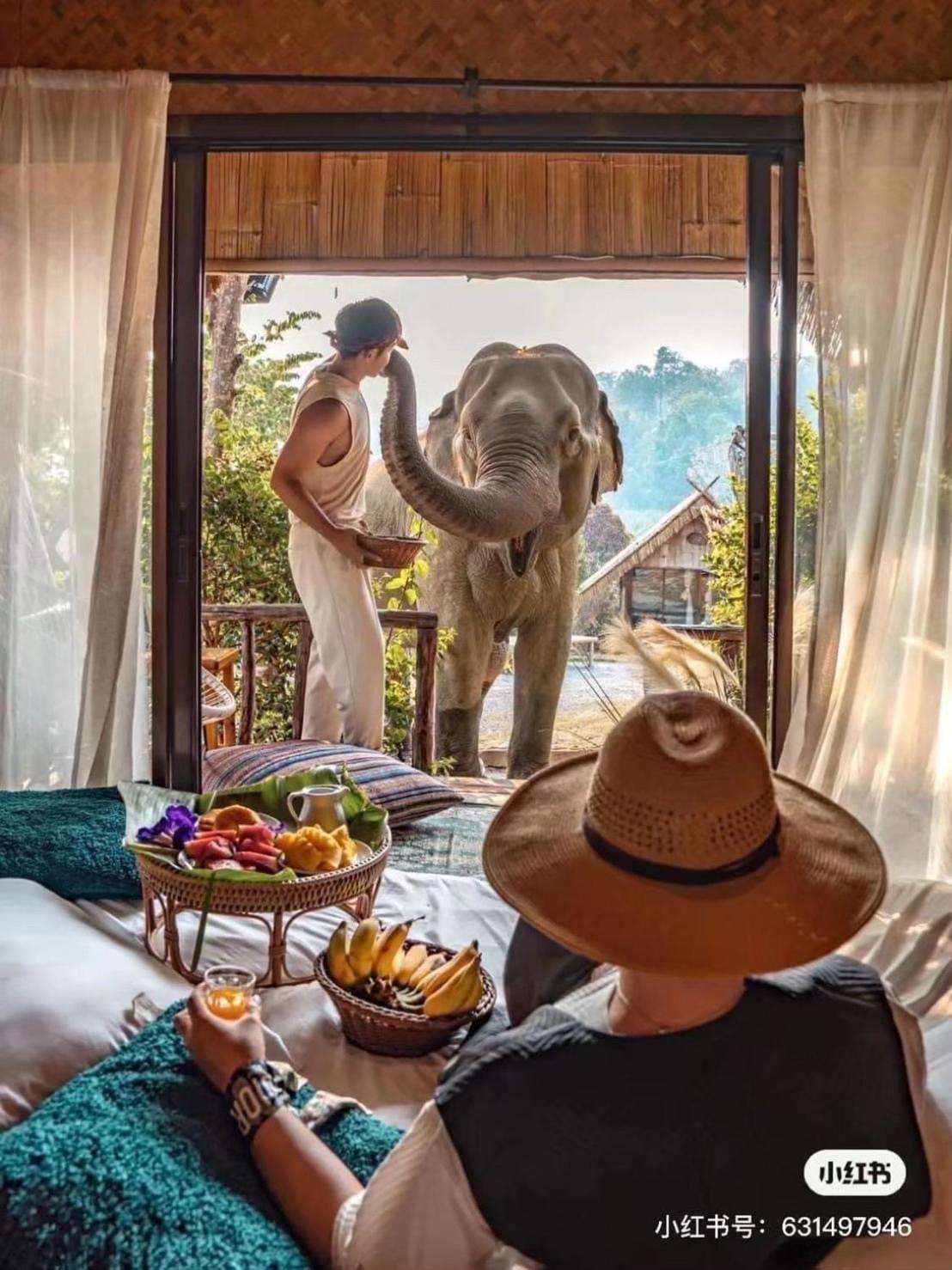 3 Pok Maewang Jinxiang Gold Elephant Park แม่วาง ภายนอก รูปภาพ