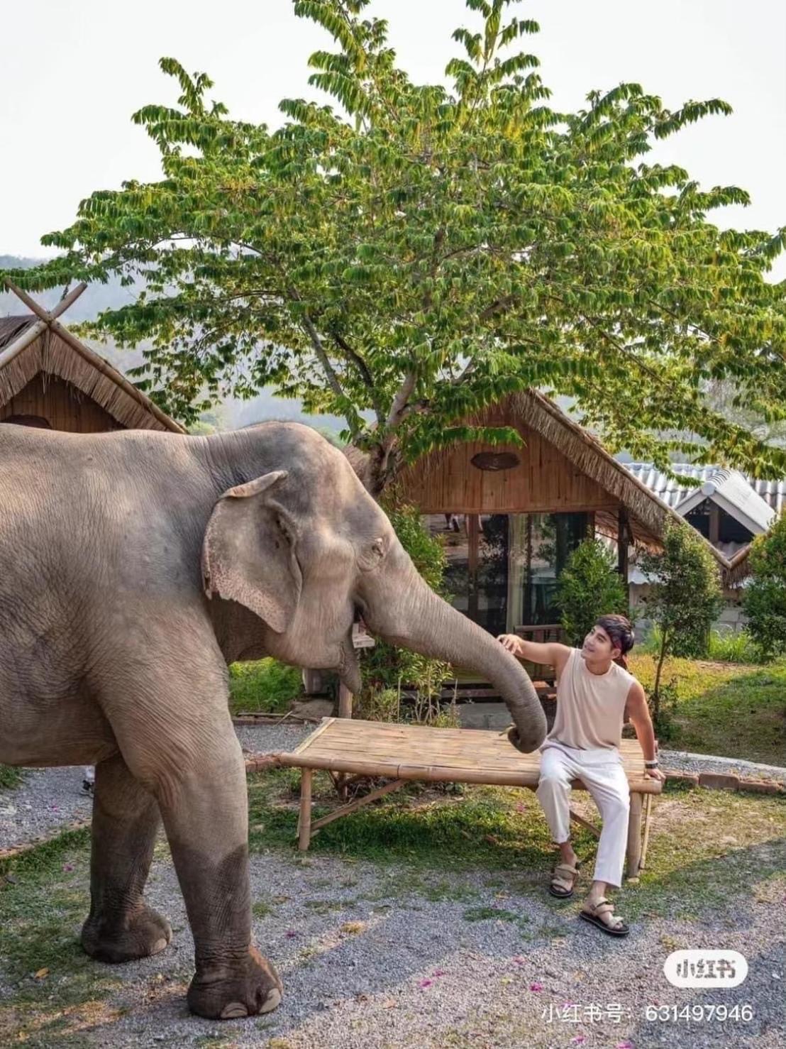 3 Pok Maewang Jinxiang Gold Elephant Park แม่วาง ภายนอก รูปภาพ