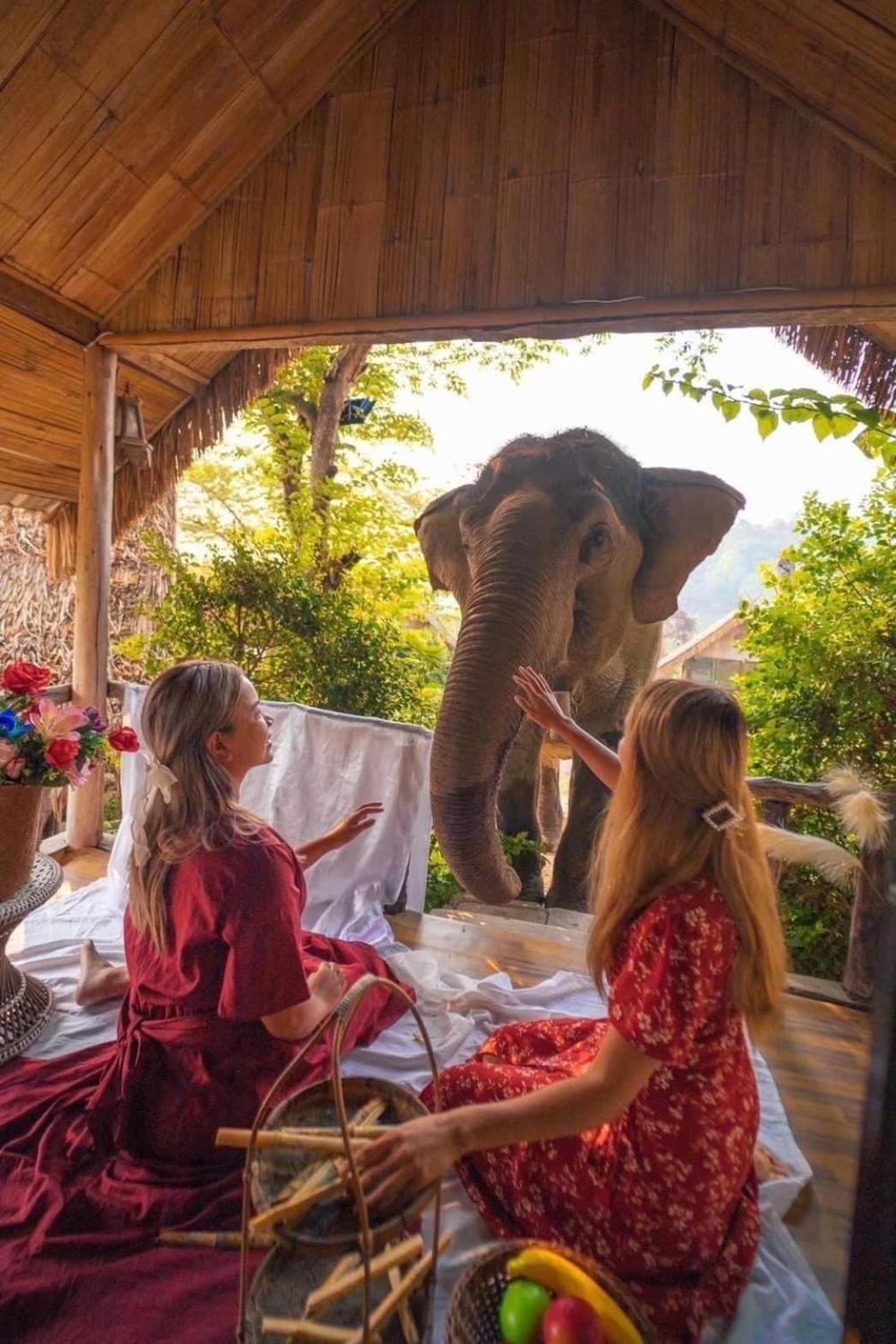 3 Pok Maewang Jinxiang Gold Elephant Park แม่วาง ภายนอก รูปภาพ