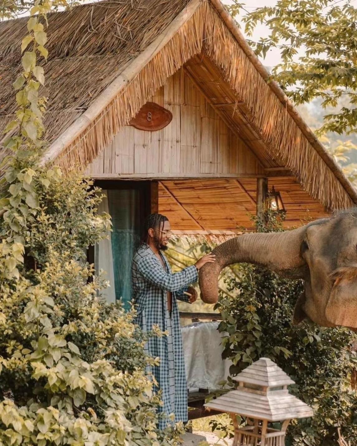 3 Pok Maewang Jinxiang Gold Elephant Park แม่วาง ภายนอก รูปภาพ