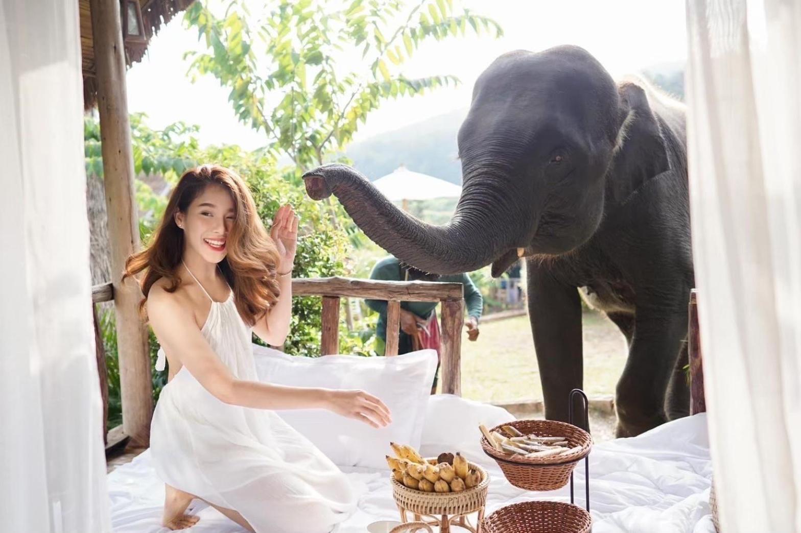 3 Pok Maewang Jinxiang Gold Elephant Park แม่วาง ภายนอก รูปภาพ