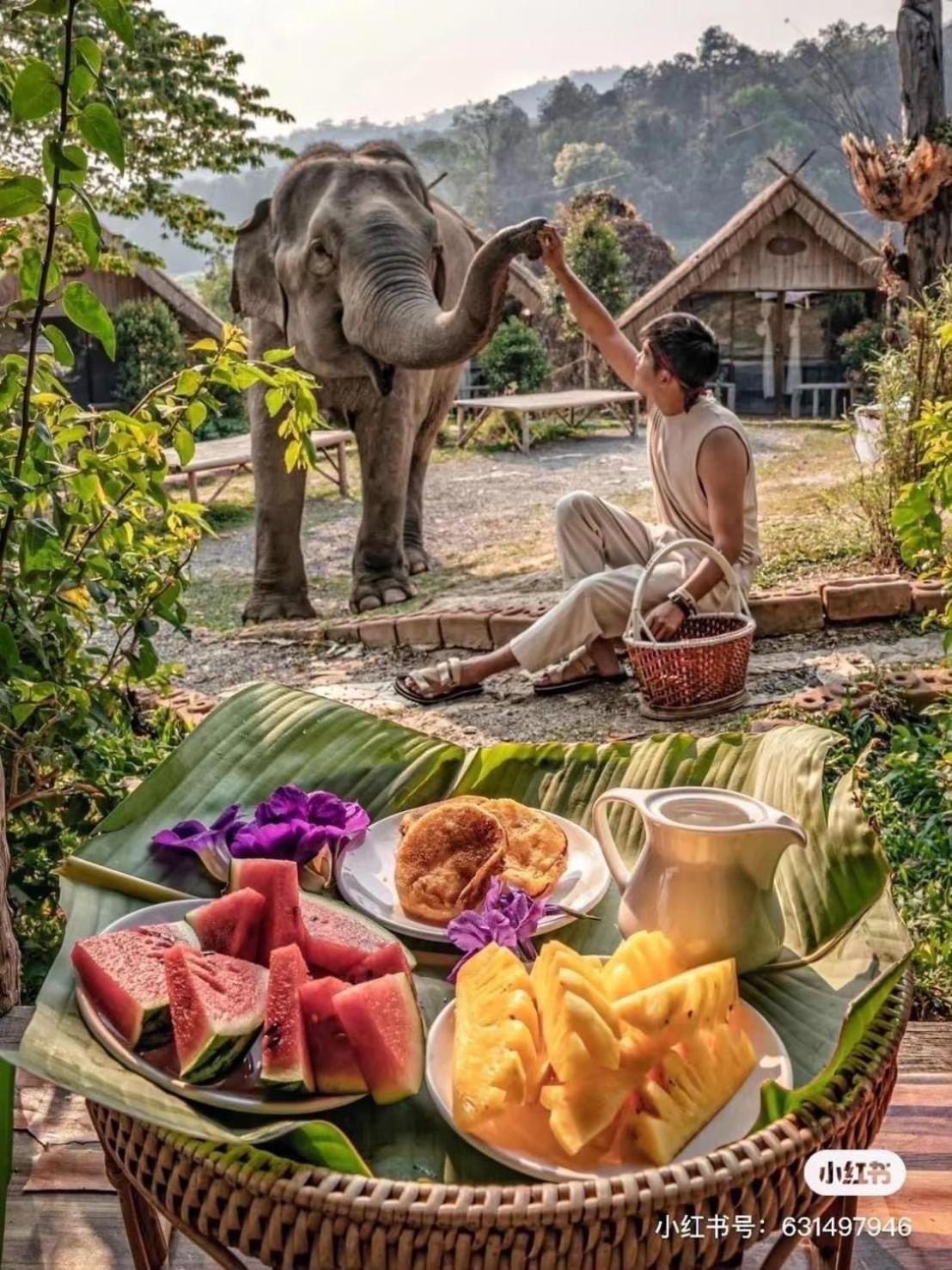 3 Pok Maewang Jinxiang Gold Elephant Park แม่วาง ภายนอก รูปภาพ