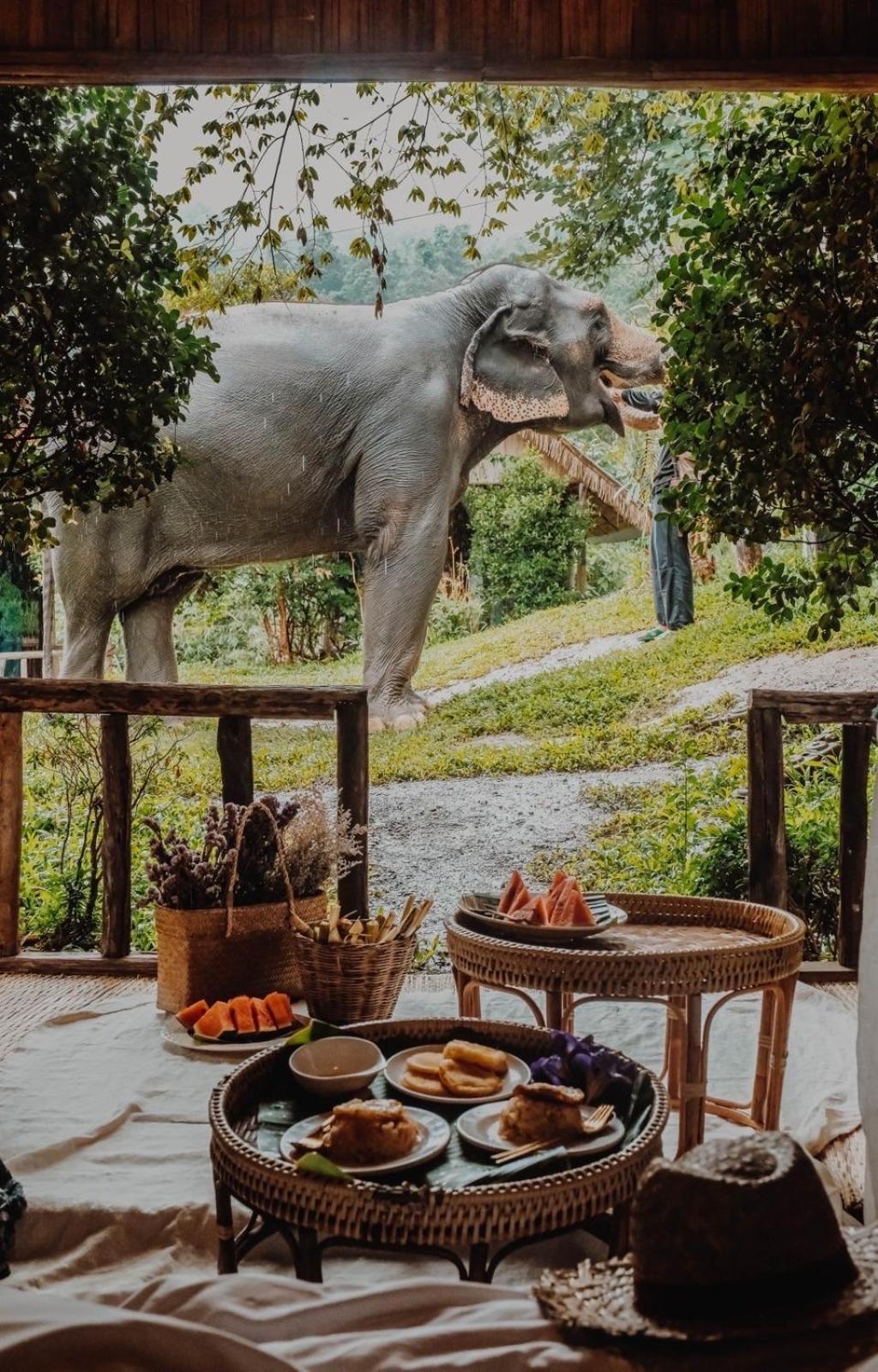 3 Pok Maewang Jinxiang Gold Elephant Park แม่วาง ภายนอก รูปภาพ